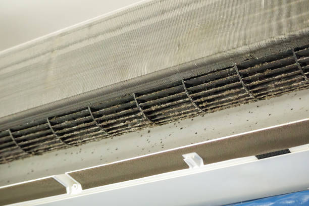 Air Duct Mold Removal in Braddock, VA