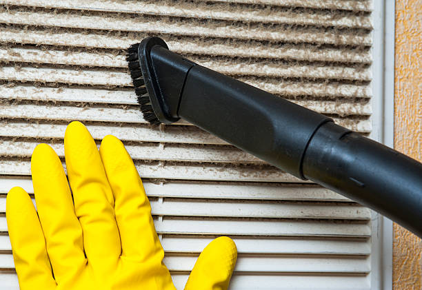 Best Local Air Duct Cleaning Services  in Braddock, VA